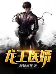 隐龙医圣