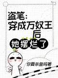 盗笔：穿成万奴王后她摆烂了