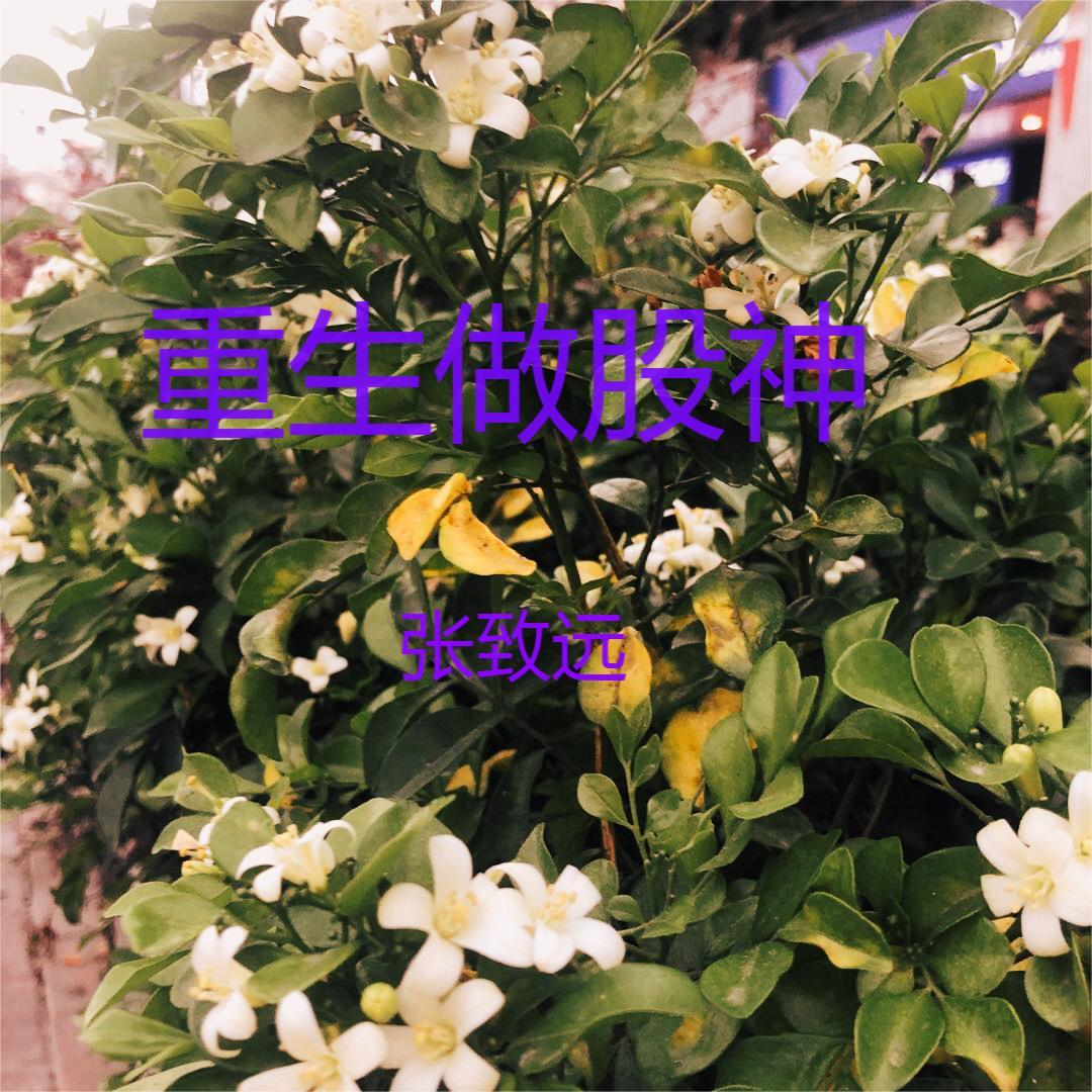 重生:金融巨子归来为爱涤荡乾坤