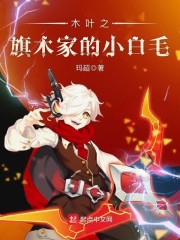 大明王朝之第一太监