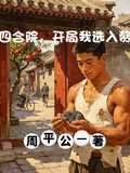 四合院，开局我选入赘