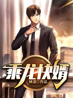 乘龙快婿