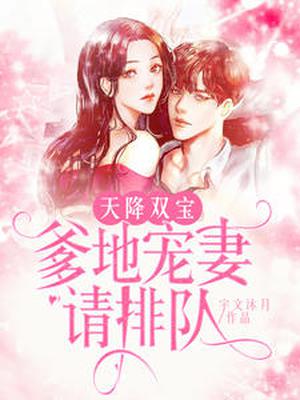 天降双宝:爹地宠妻请排队