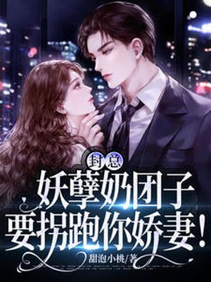 封总,妖孽奶团子要拐跑你娇妻!