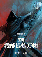 巫师:我能提炼万物