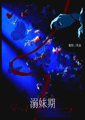 溺妹期