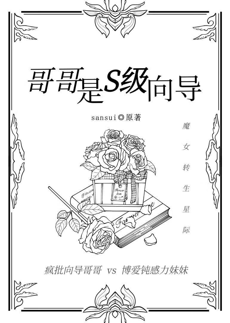 哥哥是S级向导