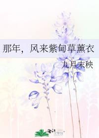 那年,风来紫甸草薰衣