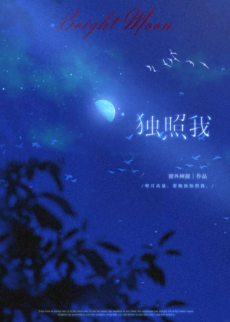 独照我