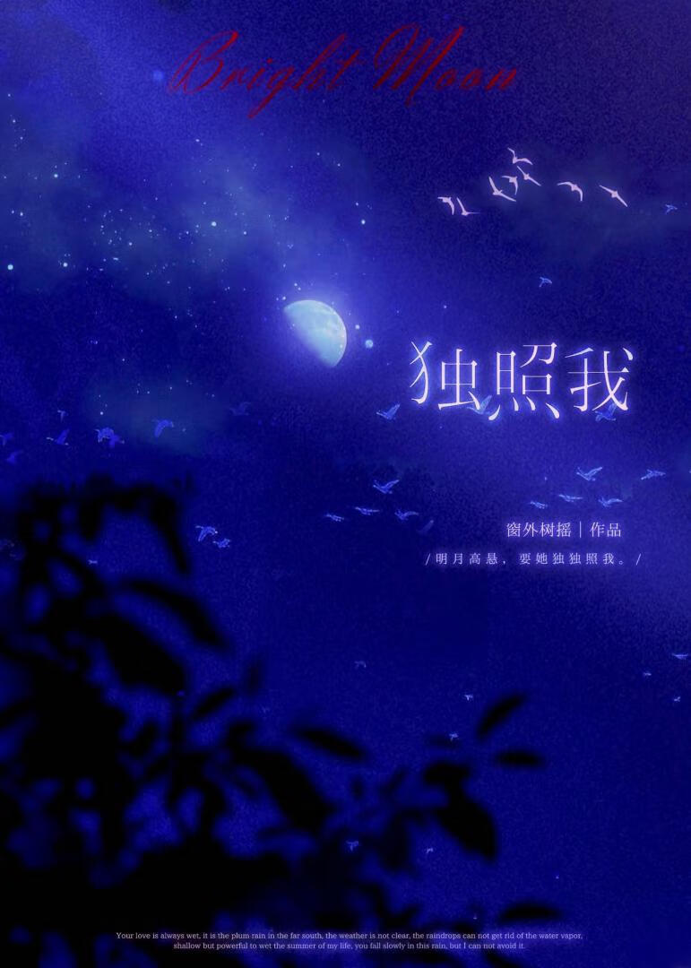 独照我[先婚后爱]