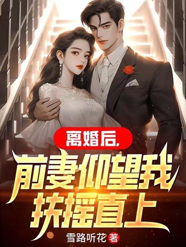 离婚后:前妻仰望我扶摇直上