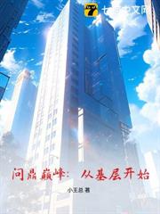 问鼎巅峰：从基层开始