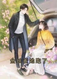 军阀:开局给袁大帅献玉玺