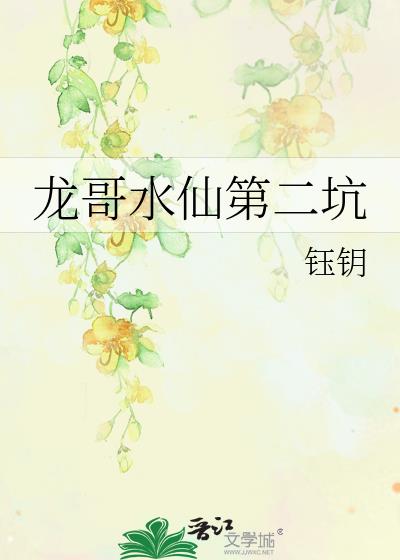 龙哥水仙第二坑