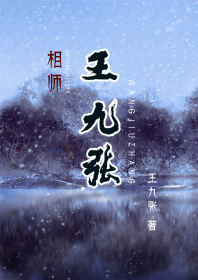 相师王九张