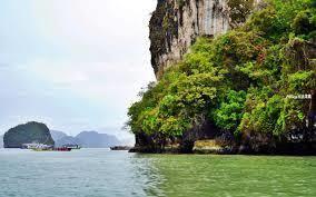 美综从某种物质开始