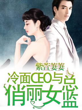 冷面CEO与俏丽女总监