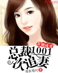 惹婚成爱：总裁1001次追妻