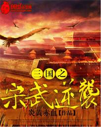 三国之宋武逆袭