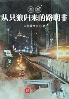 龙族：从只狼归来的路明非