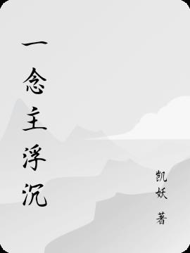 一念主浮沉