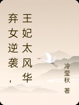 弃女逆袭,王妃太风华