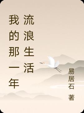 我的那一年流浪生活