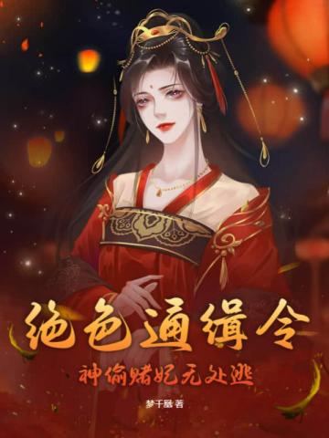 绝色通缉令：神偷赌妃无处逃