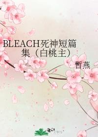 BLEACH死神短篇集（白桃主）