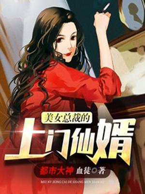 美女总裁的上门仙婿