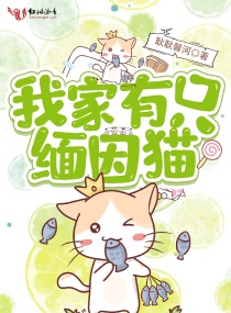 人在铲屎,猫主子他拿了影帝