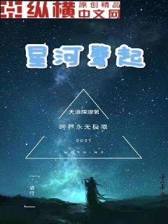 星河鹭起