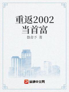 重返2002当首富