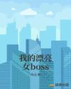 我的漂亮女boss