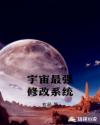 宇宙最强修改系统